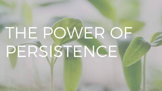 TEXT "THE POWER OF PERSISTENCE" OVER PHOTO OF TINY GREEN PLANTS SPROUTING