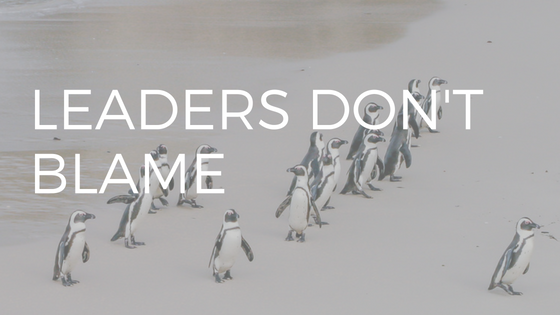 THE TEXT "LEADERS DON'T BLAME" OVER  A PHOTO OF PENGUINS PLAYING "FOLLOW THE LEADER"