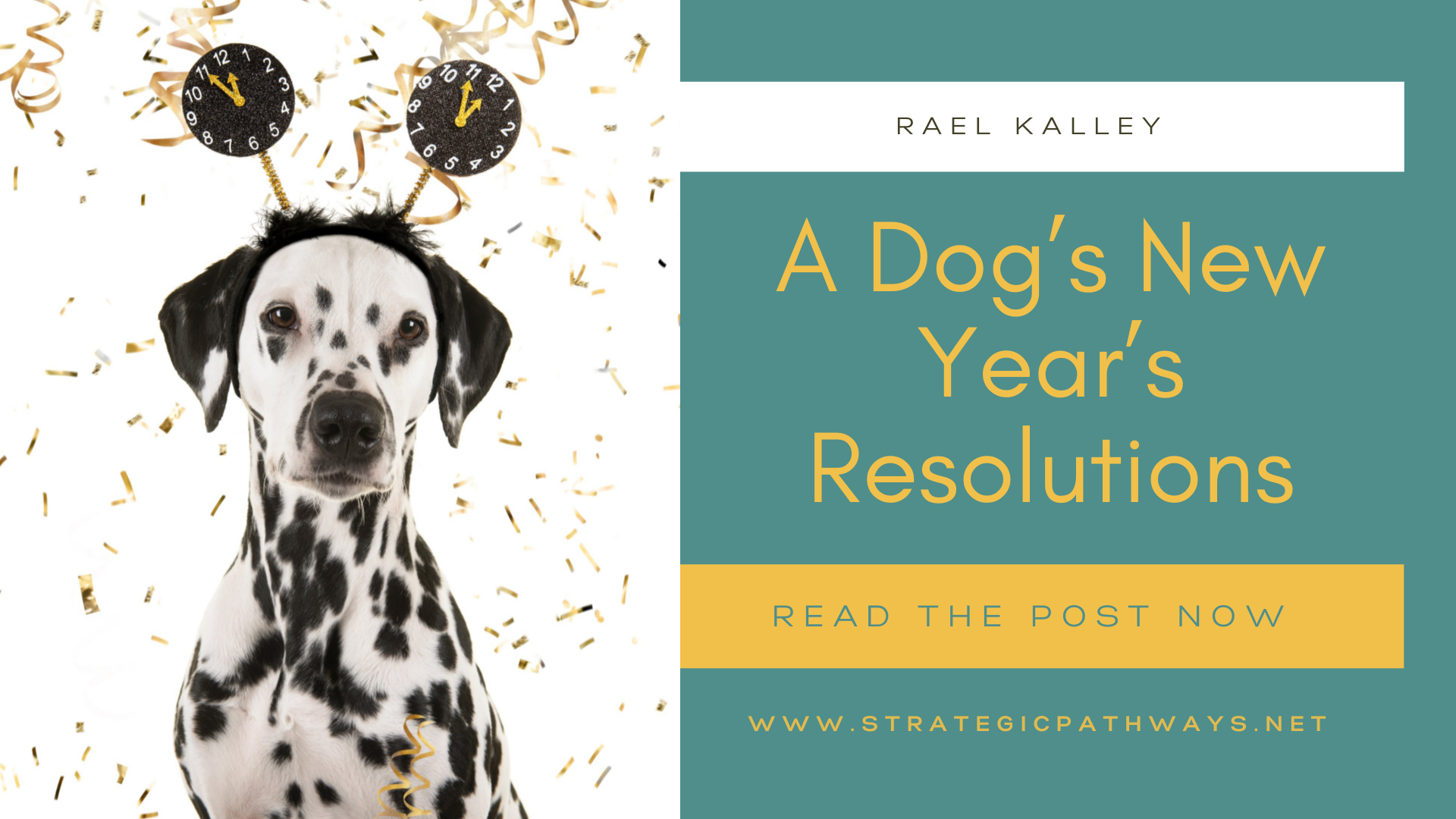 A dog's new year's resolutions